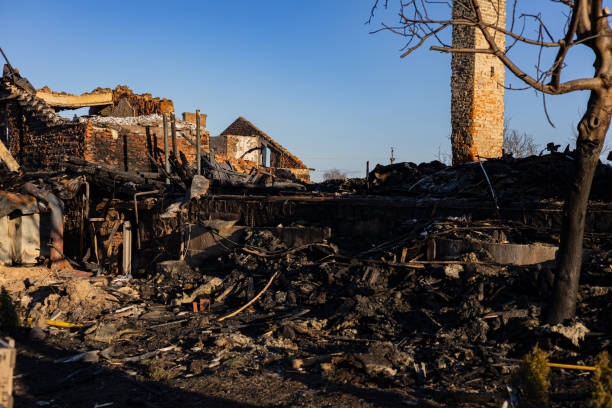 Reliable Fire Damage Repair contractor in Ellenton, FL by Fire Damage Doption